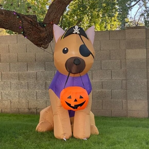 5.2 FT Pirate Dog Picking Pumpkin Halloween Inflatable Decoration with LED Light - Picture 1 of 11